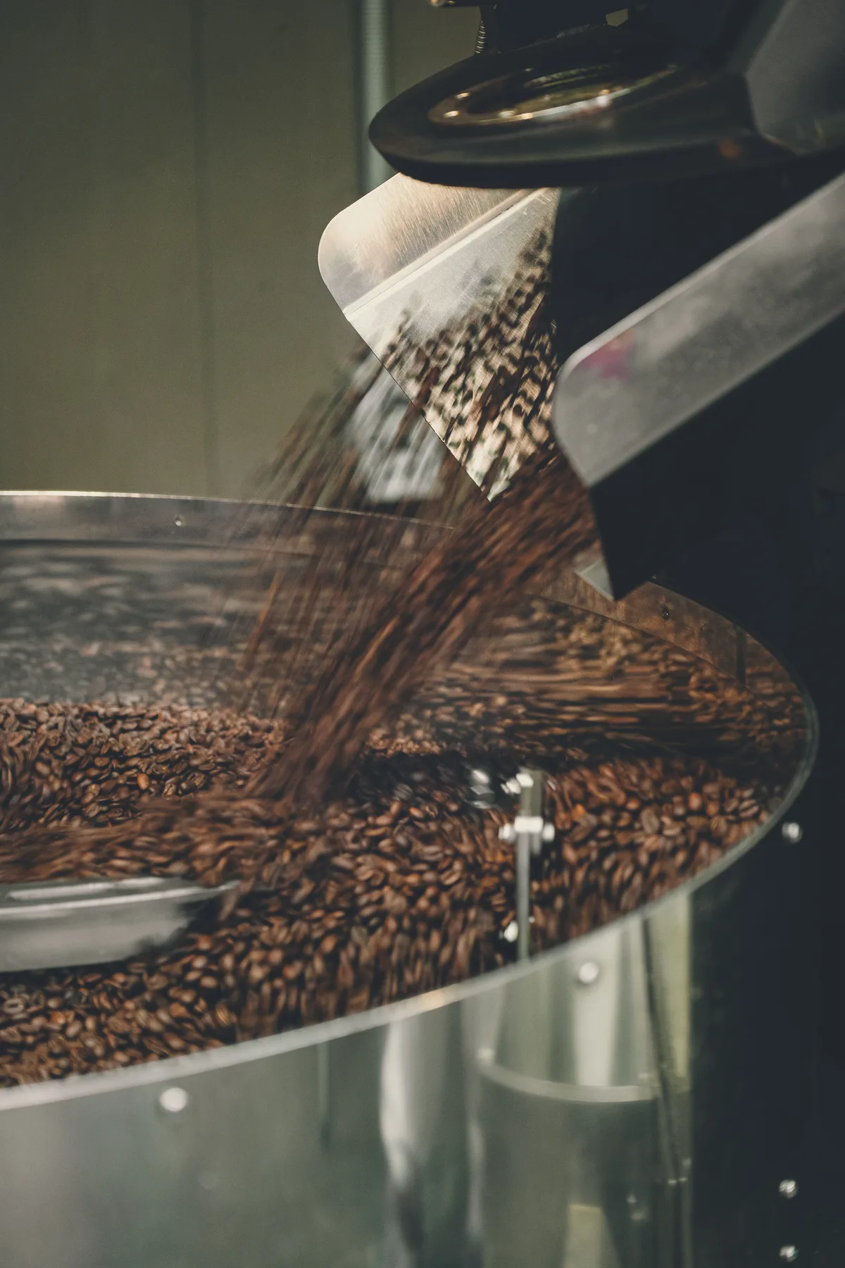 갓 로스팅된 원두가 쿨링 트레이로 쏟아지는 모습