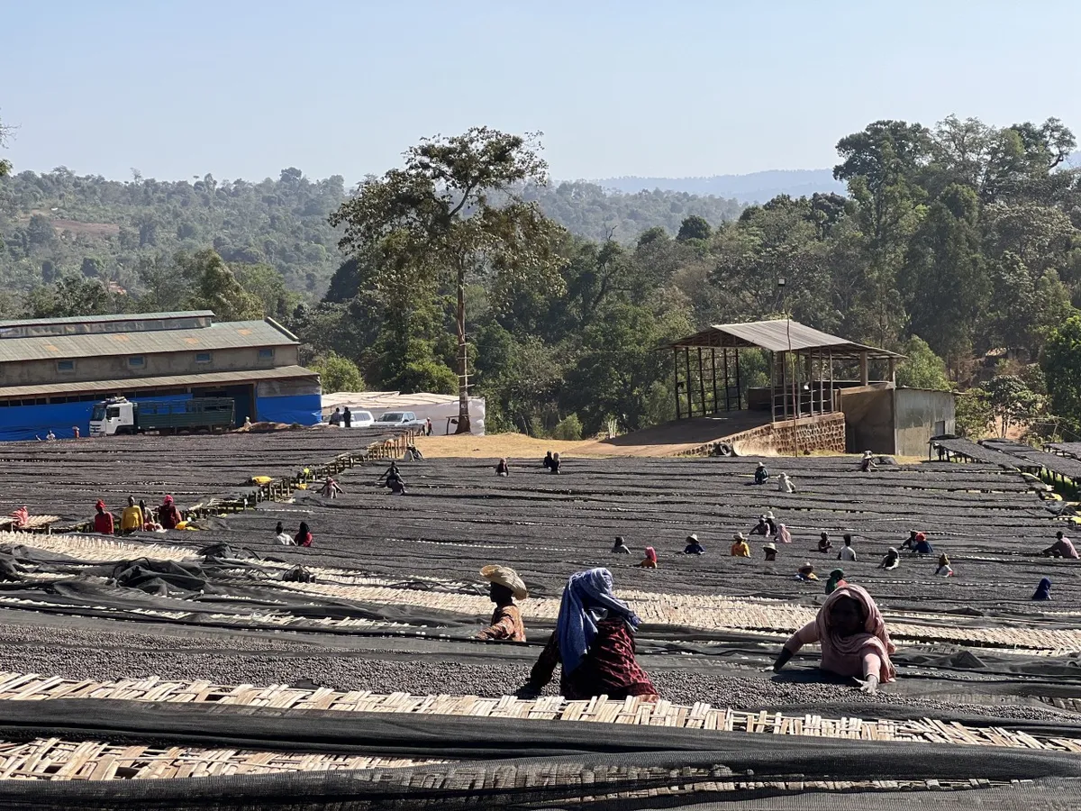 대규모 건조 작업장